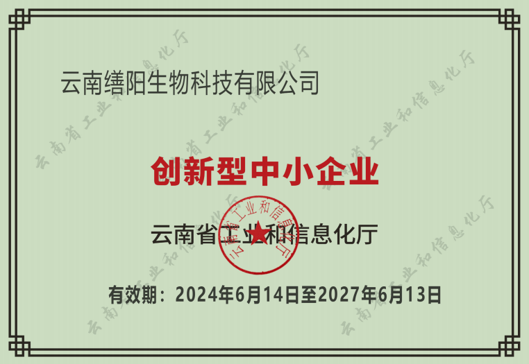 荣誉资质